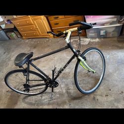 Marin Stinson Bike