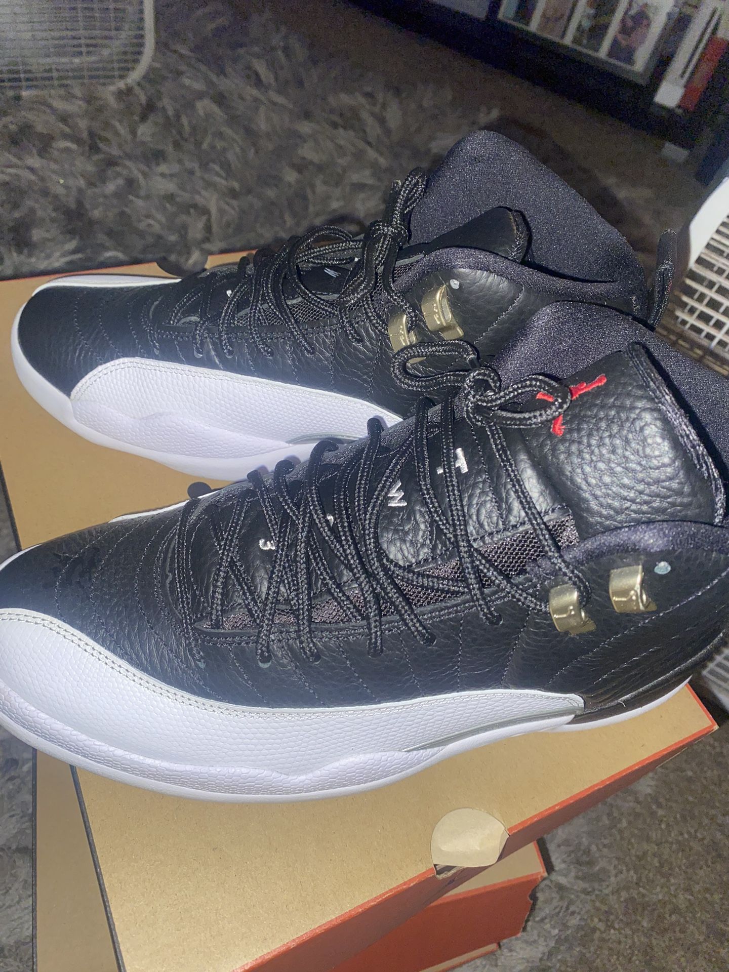 Jordan 12 