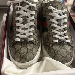 Gucci Shoes