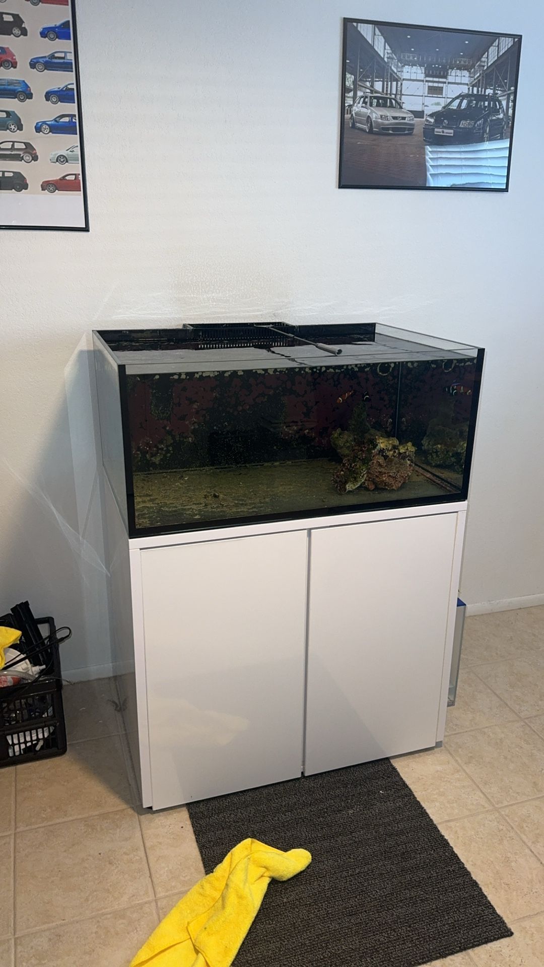 60 Lagoon Reef Tank Setup 