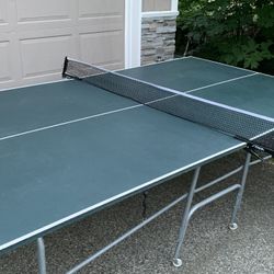 Ping Pong Table w/Stiga Net 