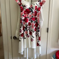 Brand New Dress Never Used 