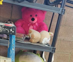 Pink teddy bear