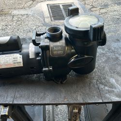 Pool Pump Jandy 1.65 HP