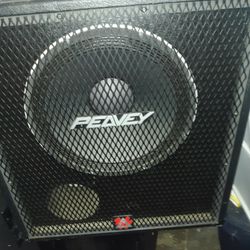Peavey 15"