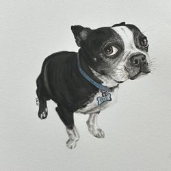 Watercolor Pet Portraits