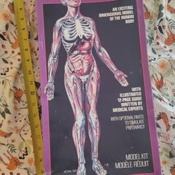 Invisible Woman Antique Model