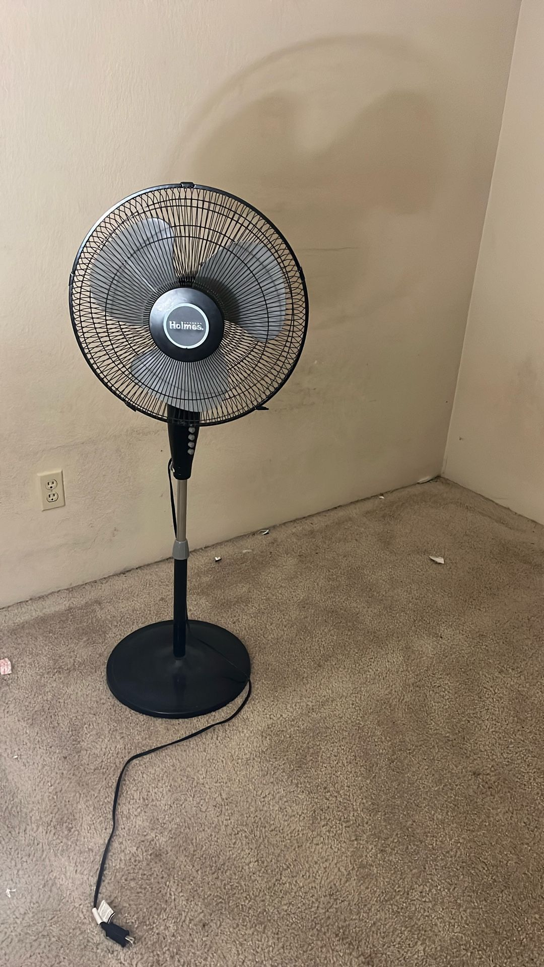 Pedestal Fan