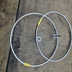 Vintage Bicycle Wheels 
