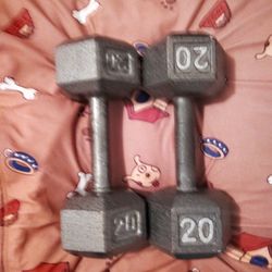 Dumbbells Set 20 Pounds 