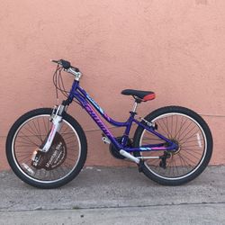 Schwinn Ranger Mountain Bike Aluminum Frame 24 Inches Tires Ready To Ride 