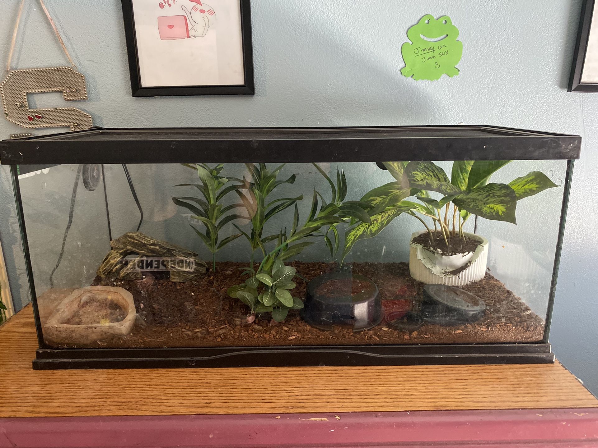 Reptile terrarium