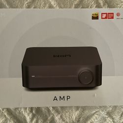Wiim AMP 