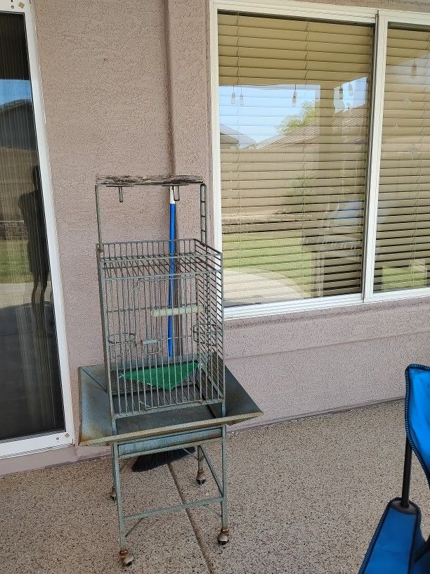 Bird Cage