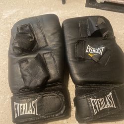 Everlast Gloves