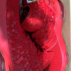 Nike men LeBron