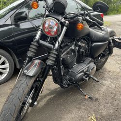 2020 Harley-Davidson Iron 883