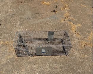 Large animal trap/cage
