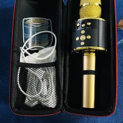 Karaoke Mic