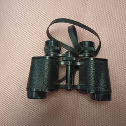 Binoculars- 8 By 30- Palomar Certified