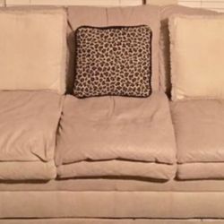 Two Leather Couches 