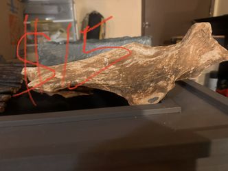Bearded Dragon Tank Rock Decor
