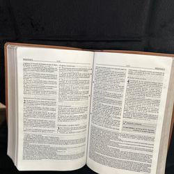 Biblia Plenitud 1960 de Estudios 