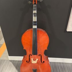 Student Cello Cecilio Cco-100