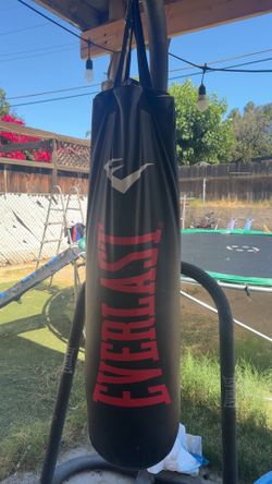 Everlast punching bag