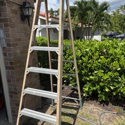 Fiberglass Ladder