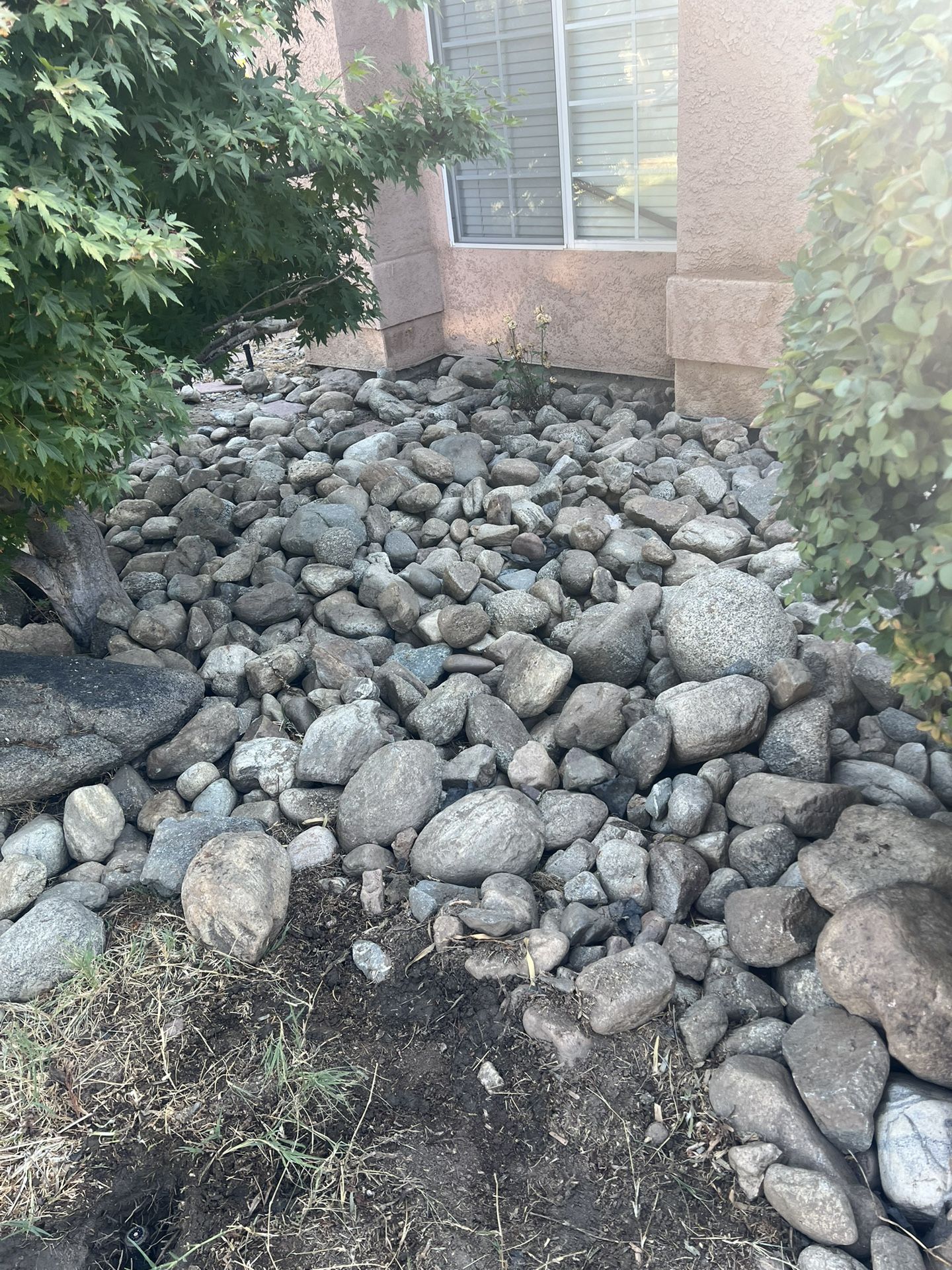 Free Rocks You Have To Pick Up Located In Visalia