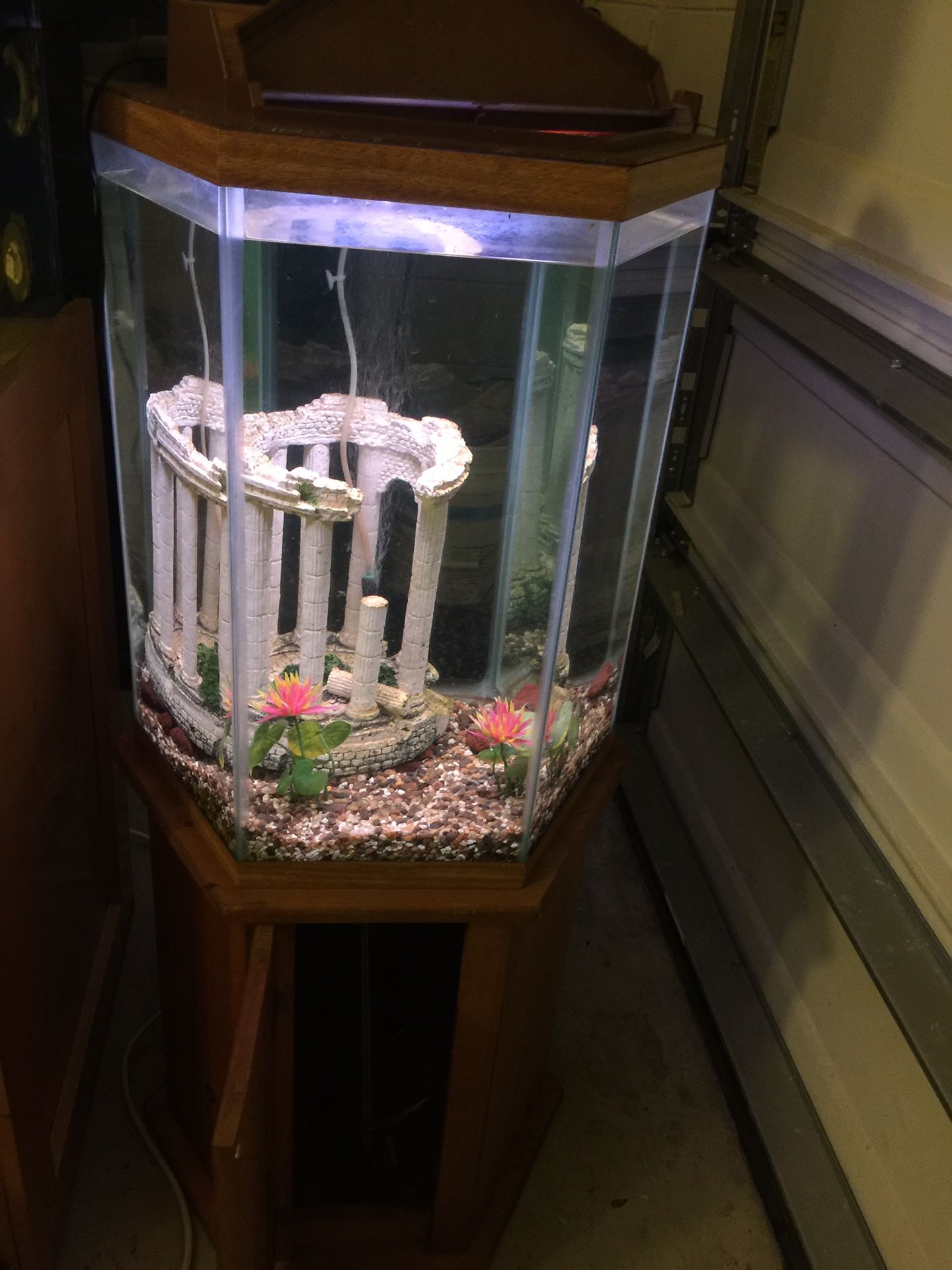 30 gallon fish tank