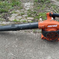 Leaf blower, professional