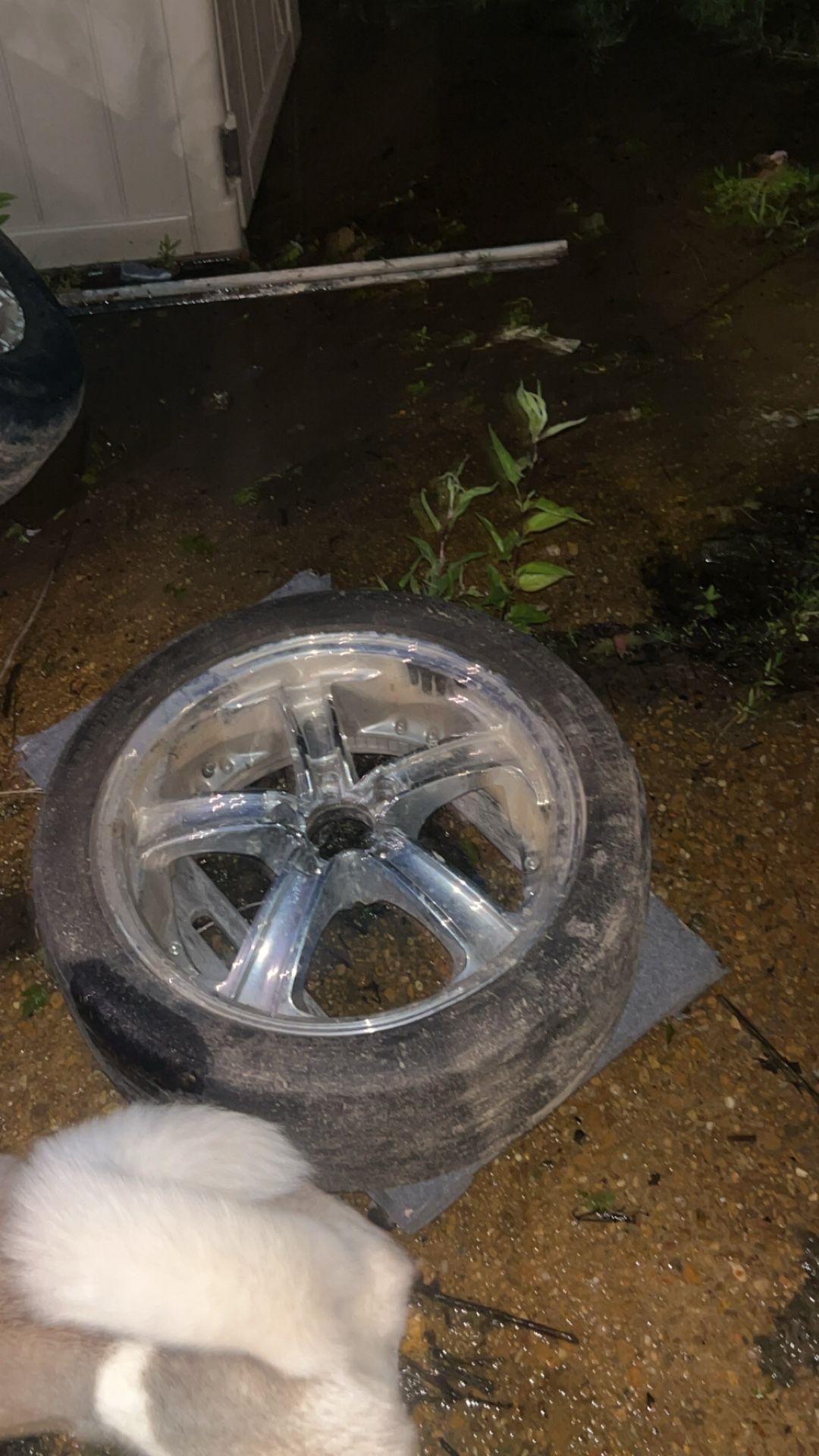 Rims That’s On My 2006 Ford Fusion