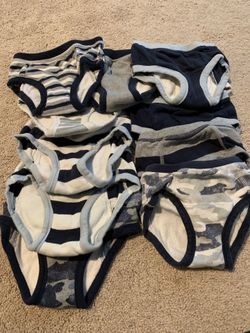 Burt’s bees Boys underwear