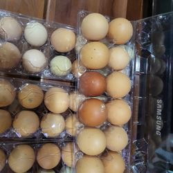Organic Eggs 
