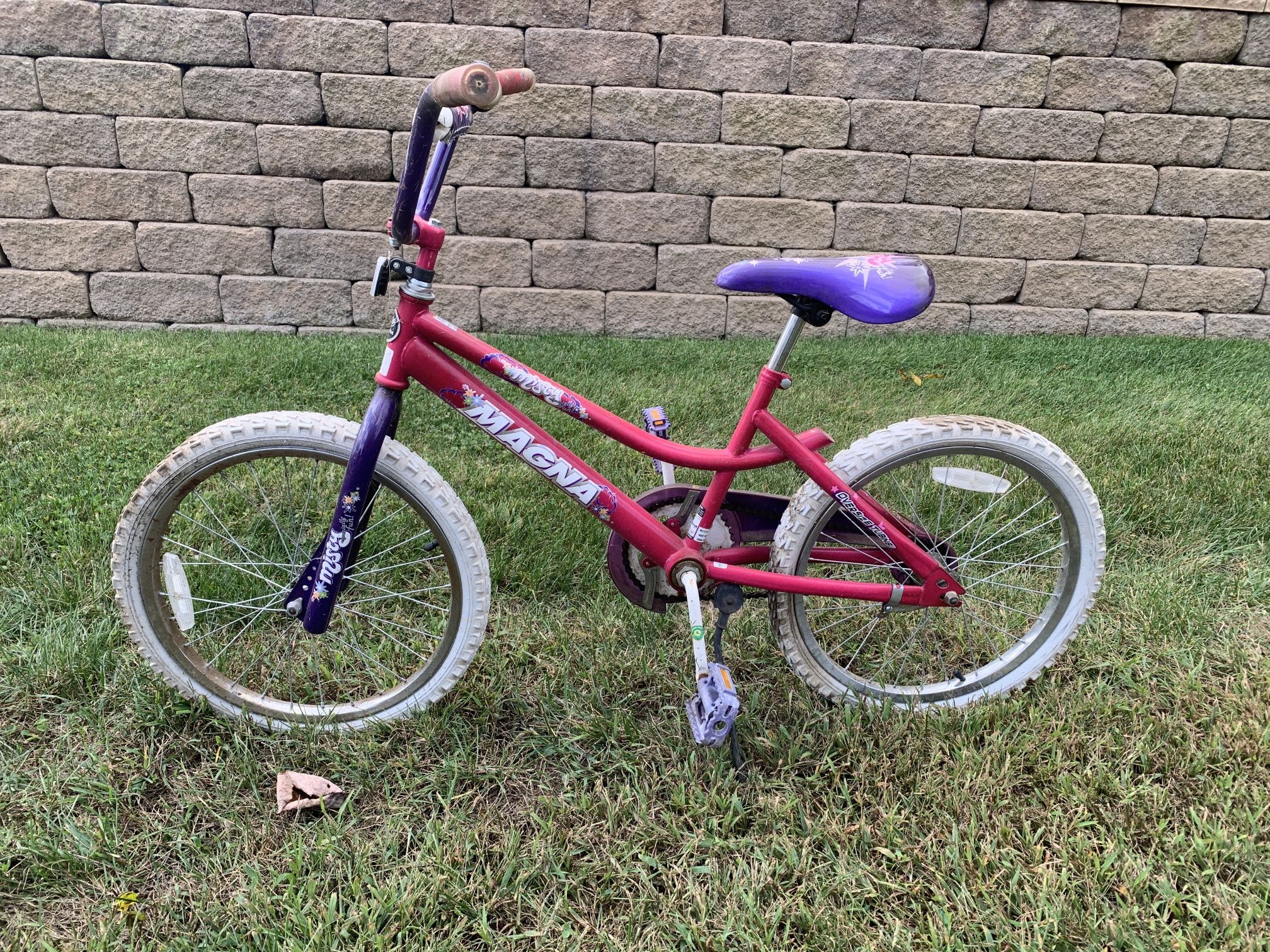 Girls bike (free)