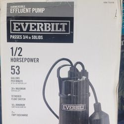 Effluent Pump