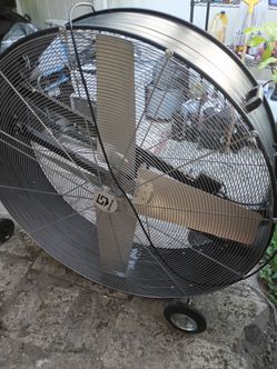 Huge fan