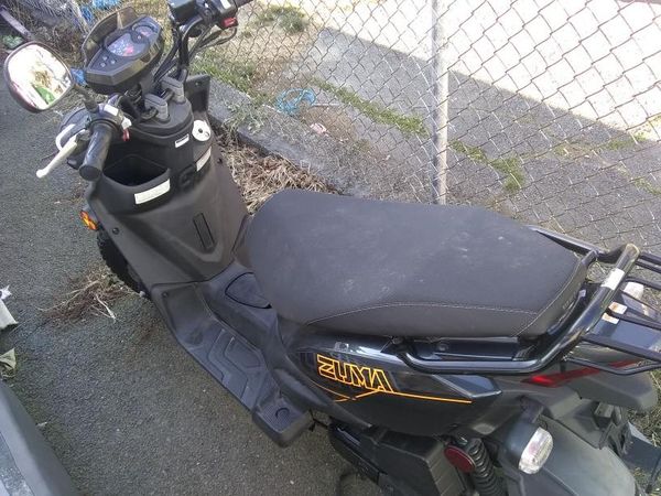 2017 zuma