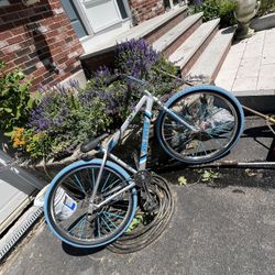29” BIG FLYER HD MINT CONDITION 