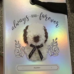 Rose Bear  (Puppy)