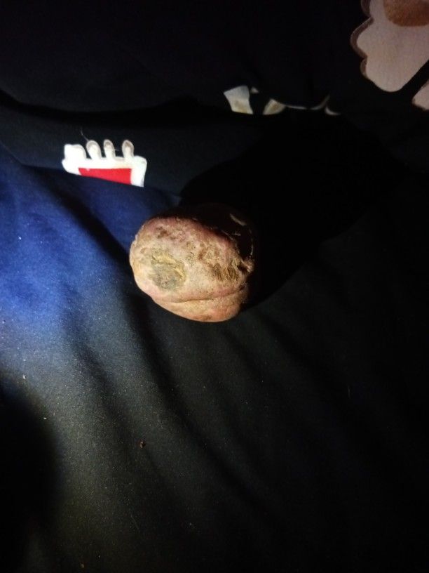 Nice To Meet You I'm The New Potato Creatura