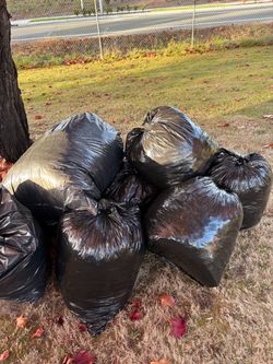Free leaves