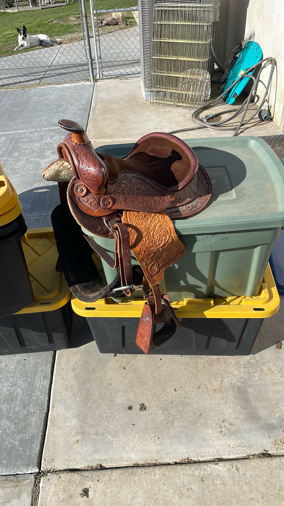 Pony Saddle W/cinch