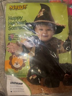 Infant 18-24 month Halloween costume