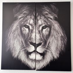 Lion Portrait (Like New)