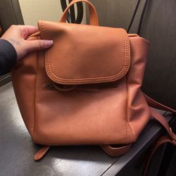 Backpack Purse 