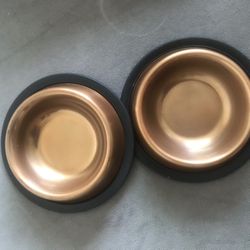 Dog Bowls