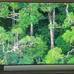 Sony 83 Inch Oled A80L